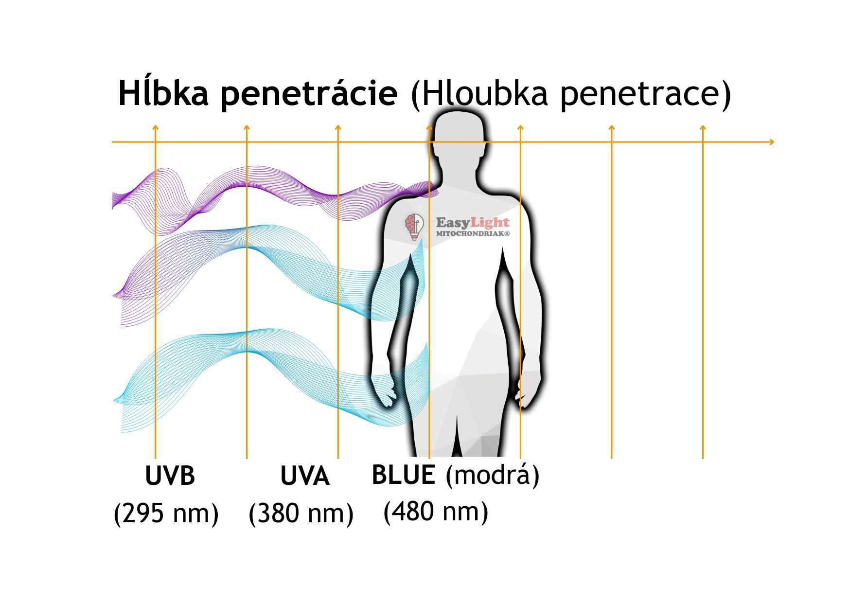 Mitochondriak® light therapy